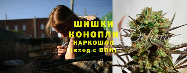 спиды Корсаков