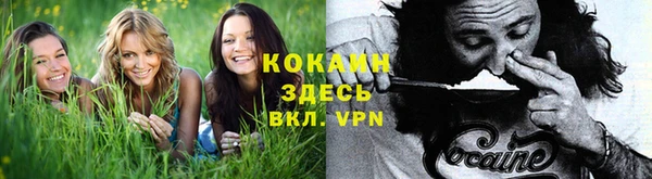 спиды Корсаков