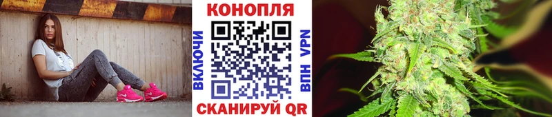 Бошки марихуана OG Kush  Купить закладки  Арамиль 